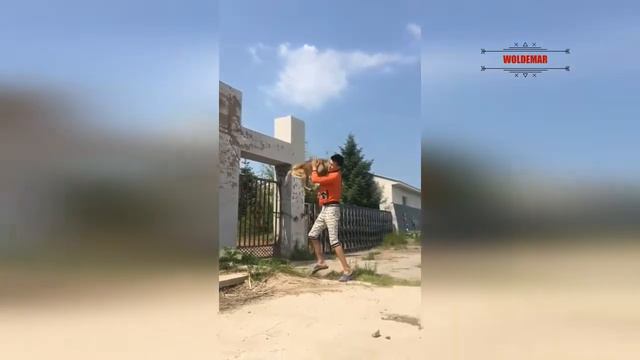 СУПЕР ПЕС!!! смотреть онлайн