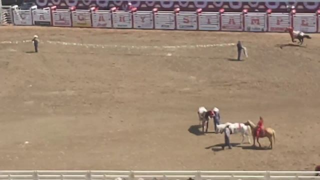 Rodeo at Calgary Stampede 2021, Alberta, Canada смотреть онлайн