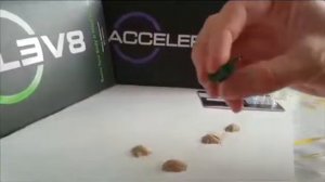 Елев8 Как поделить капсулу на 4 части для детей 5-6лет