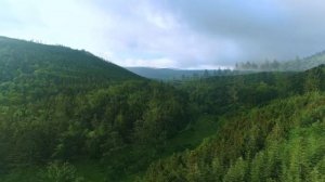 Медитация ПАПА. Медитация на исцеление папы внутри тебя