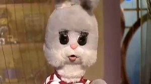 Путешествия с Хрюшей   Атлантический океан