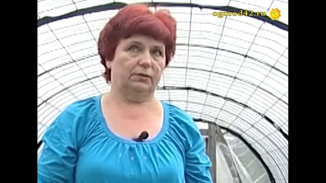 Баклажаны с перцами уживаются смотреть онлайн