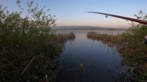 ЛОВЛЯ КАРАСЯ НА ОЗЕРЕ! УТРЕННЯЯ РЫБАЛКА НА КАРАСЯ! ВЕЧЕРНЯЯ ЛОВЛЯ КАРАСЯМБЫ НА ПОПЛАВОК!