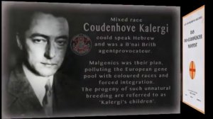 Le Génocide des Blancs prevu par le Plan KALERGI - 2_2