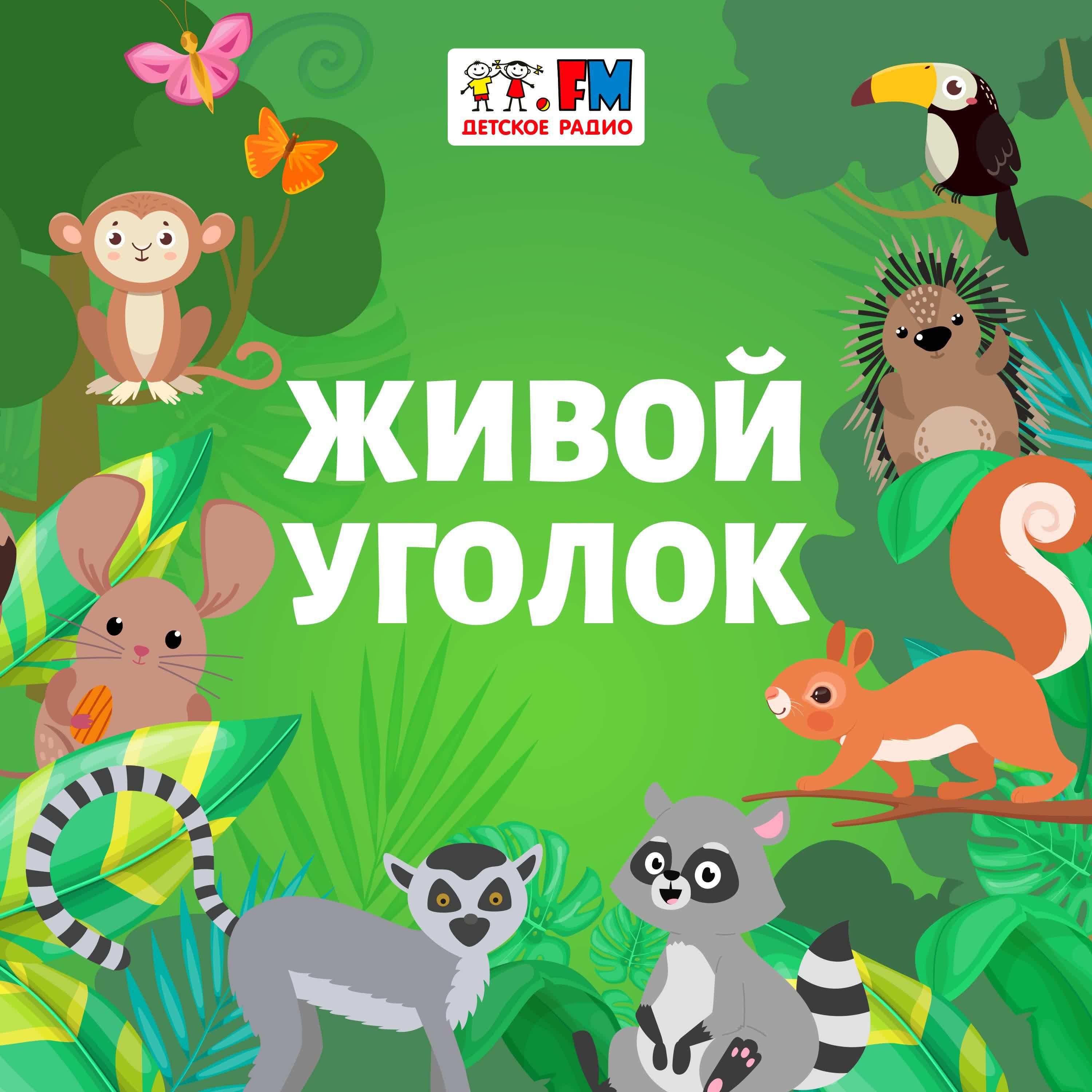 Живой Уголок Это Для Детей