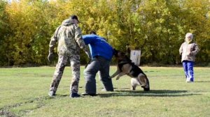 Дрессировка собак в Омске - ОЦССС