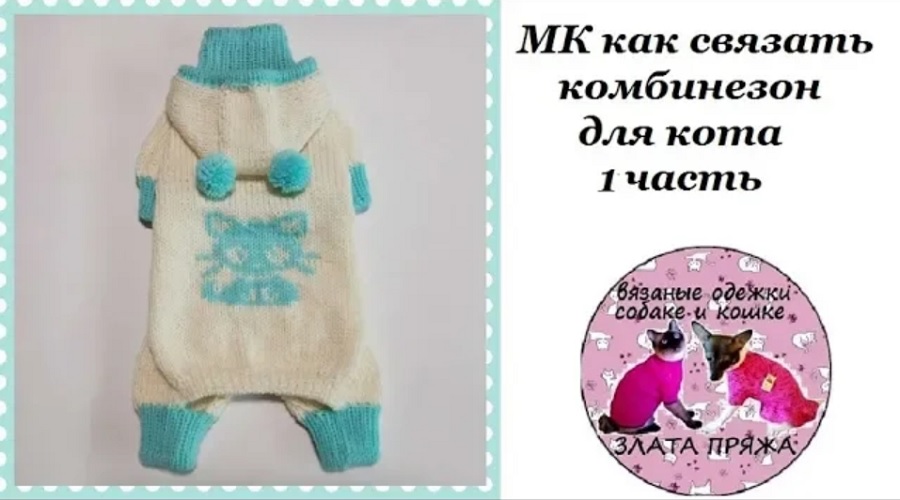 вязаные комбинезоны для сфинксов. сфинкс в свитере. вязаная одежда для сфинкса. вязаная одежда для кошек. комбинезон для кошки.