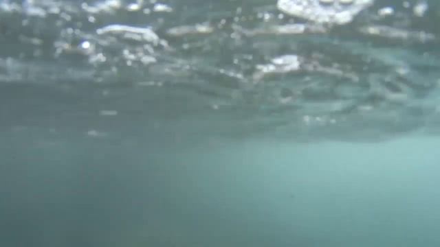 отдых на природе в Чеченской Республике смотреть онлайн