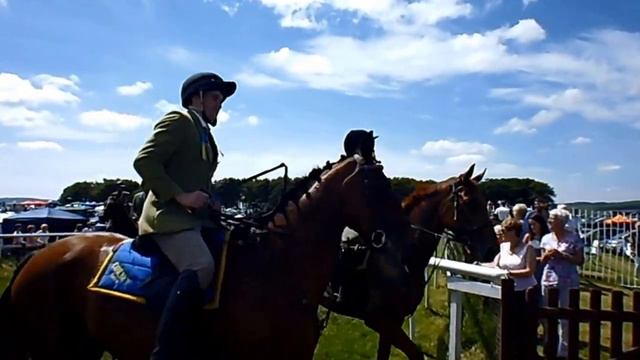 Cornet's Cavalcade leaves the race course at St. Leonard's смотреть онлайн