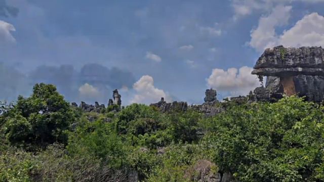 Каменный лес: фото на память смотреть онлайн