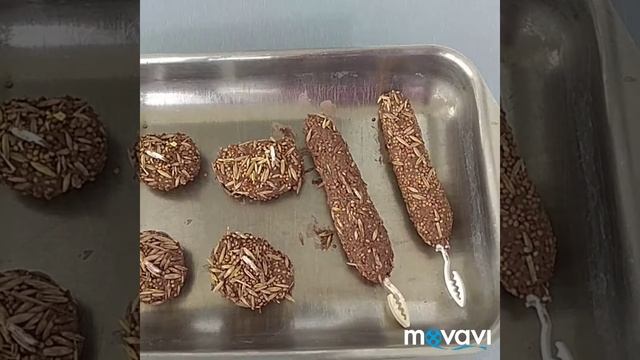 #harizma_ptichka_or Лепешки из глины для попугаев смотреть онлайн