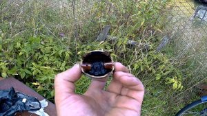 отзыв с разбором.двухтактное масло REZOIL RANCHER DYNALITE можно брать.