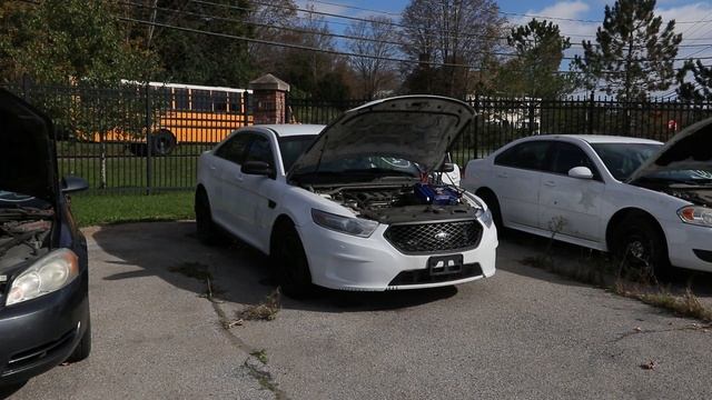 2013 Ford Taurus Interceptor. Lot 12. смотреть онлайн