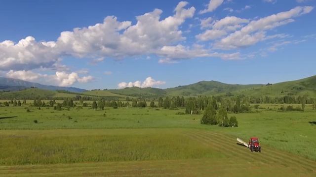 Сенокос 2018 смотреть онлайн