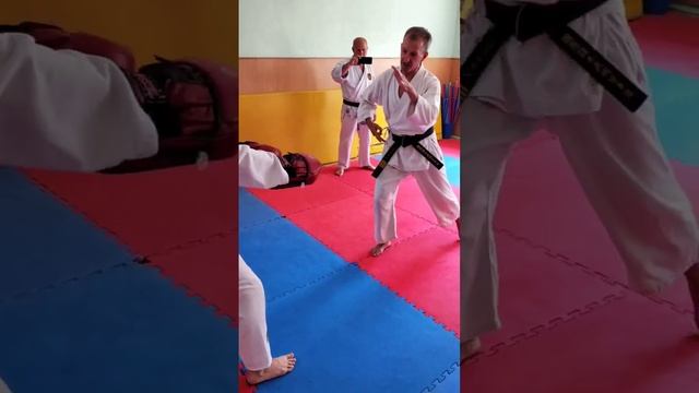 Моменты аттестации на цветные пояса. Asai Ryu Karate Sevastopol. #karate #каратэ