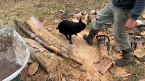 Cordwood