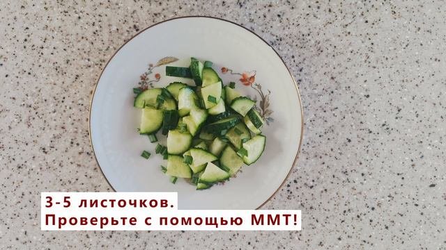 Листочки чеснока