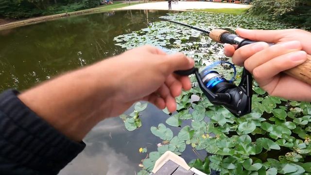This CHEAP Amazon Spinning Reel is AMAZING!! смотреть онлайн