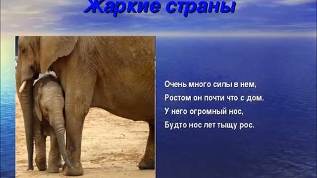 Животные жаркого района окружающий мир 1 класс