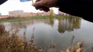 Ультралайт осенью. Ловля окуня в Подмосковье