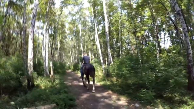 ФОТО В СКАЗКЕ смотреть онлайн