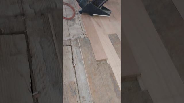 wood floor patch#Red oak