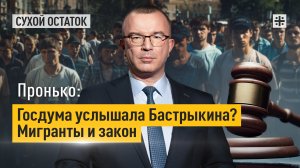 Пронько: Госдума услышала Бастрыкина? Мигранты и закон