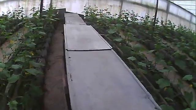 аварийная система отопления теплицы с огурцами п смотреть онлайн