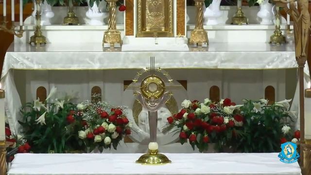 Sat, Apr 23 - Solemn Divine Mercy Chaplet and Meditation from the National Shrine смотреть онлайн
