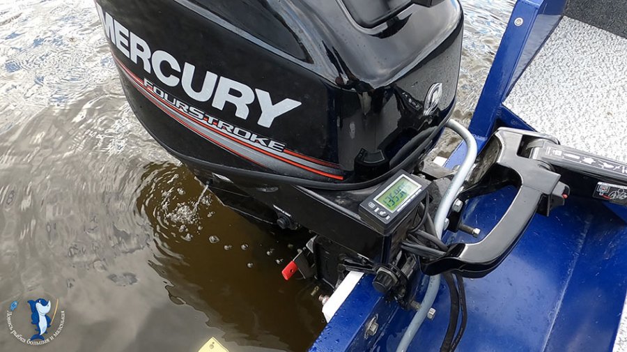 Mercury f 10
