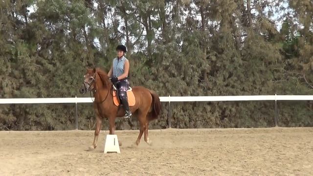 ВАУ! ЛОШАДИ, ПОНИ, ЕДИНОРОГИ НА НАСТОЯЩЕМ РАНЧО! УЗНАЙ ПЕРВЫМ, КАК ЭТО? ПРО ? - ШУТКА смотреть онлайн