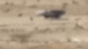 Приземление НЛО в Саудовской Аравии