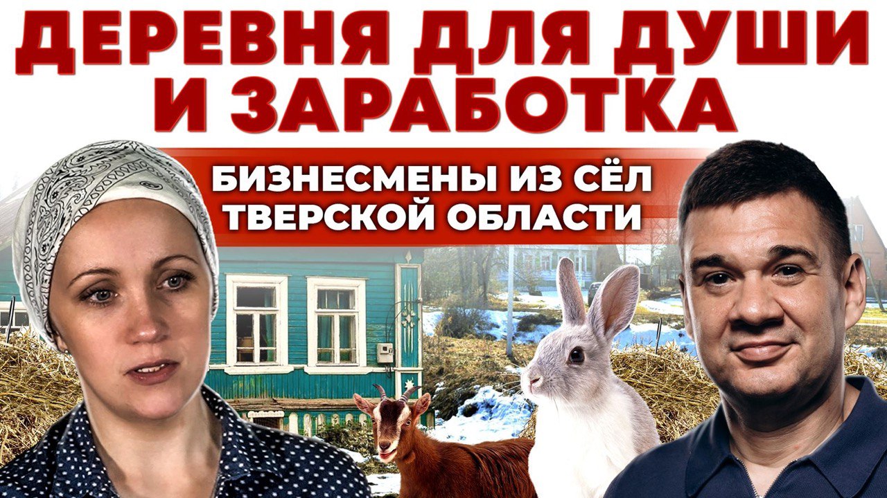 Из города в деревню | Кролики, птицы, сыр, мёд | ЛПХ и заработок | Андрей Даниленко