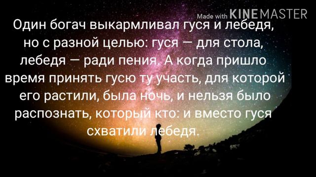 Все мудрости в одном канале, советы по жизни Эзоп часть 7 смотреть онлайн