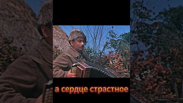Ты же ВунДеркинД Shorts #Фильм Свадьба в Малиновке