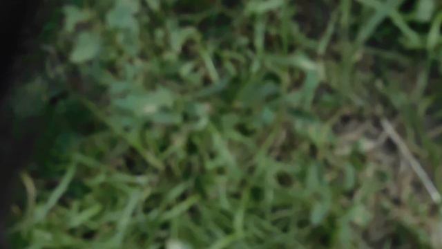 Неужели все это моё.. смотреть онлайн