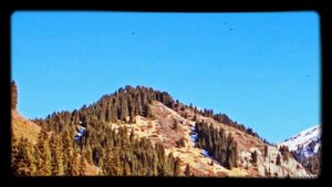 Хистеварз 10-12-2018 мавлон шодиев