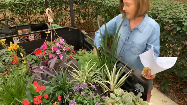 Flora Express Samples 1/20/2020 смотреть онлайн