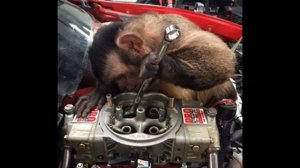 ПЕСНЯ АВТОМЕХАНИКА