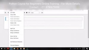 Python Course for Beginners Online Training