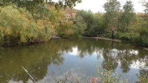 Ловля пескарей на мелкой речке Catching minnows on a small river