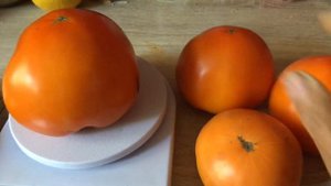 Томат Хурма . Отличный сорт