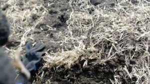 СНОВА СЕРЕБРО! КОП МОНЕТ 2021, КОП ПО СТАРИНЕ 2021, КОП С TX850