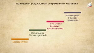 Первобытные собиратели и охотники