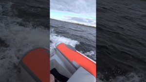 Риб river boats 400