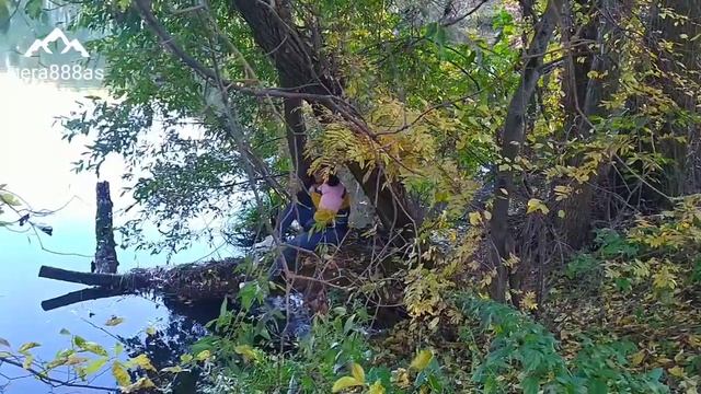 Вохринка Подмосковье