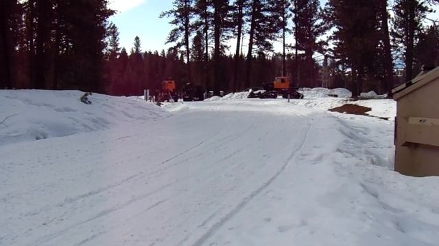 McCallin All Cats - Jug Mt 2017 смотреть онлайн