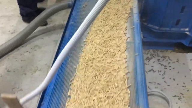 BT350 produkcja peletu na liniach BRIKOL смотреть онлайн