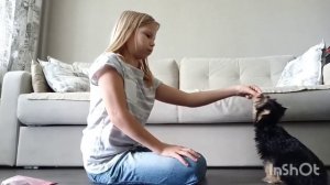 Как научить собаку командам сидеть и лежать!