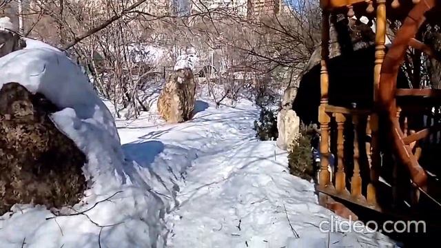 Парк отдыха